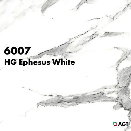 AGT 6007