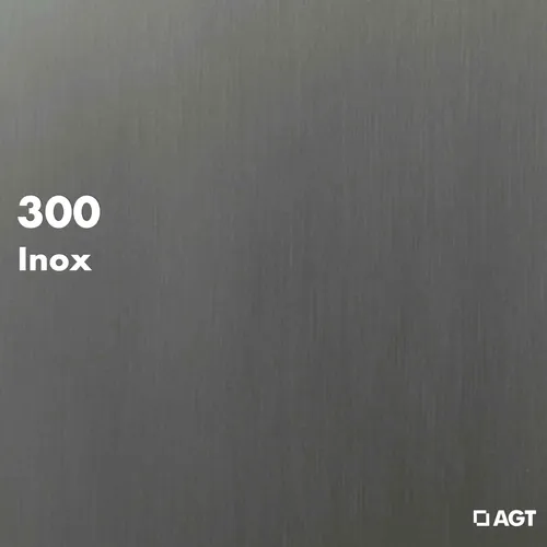 AGT 300