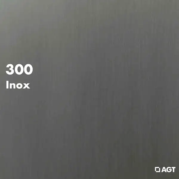 AGT 300